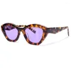 Solglasögon Cat's Eye Female Designer Fashion Gradient Color Lens Sexig Leopard Frame Glasögon