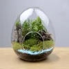 Vaser kreativa äggformade glasflaskor saftiga vas hydroponic köttiga mikrolandskap terrarium mossa heminredning