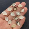 Charms Colorful Natural Seawater Shell Leaf Shape Carved Plant Pendant Lovely Jewelry Necklace Accessories Couple Style Gift 10x13mm