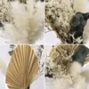 Decorative Flowers 45PCS Dried Pampas Grass Natural Fluffy For Home Decor Boho Bathroom Office