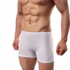 Cuecas sexy homens boxer ultra-fino malha ver através de briefs baixo aumento curto roupa interior elasticidade respirável casual swimwear