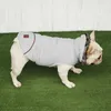 Vêtements pour chiens épaississement de coton en coton mouchard chaud de capuche chaude pour chiot chapeau moelleux veste en veste petits accessoires moyens