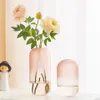 Vasi Creativo Vaso di vetro per piante idroponiche Moderno e minimalista Casa Soggiorno Tavolo Decorazione scrivania Fiore rosa trasparente232K