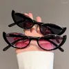 Lunettes de soleil petit demi-oeil de chat pour femmes, tendance, Vintage, composite, lunettes de styliste, lunettes de soleil