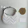 Vintage małe designerskie torby Crossbody ramię minimalistyczne paski hobos to torba zapinana na zamek błyskawiczne dla eleganckich kobiet