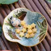 Pratos pastoral europeu cerâmica pato tigela de frutas mesa chá lanche doces sobremesa placa chave jóias trinket organizador