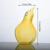 Vases Creative Transparent Fruit Vase Glass Bottle Pomegranate Hazelnut Hydroponic Home Decoration