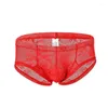 Calzoncillos Ropa interior de encaje para hombres Sexy Gay Men Boxers Lencería Shorts transparentes