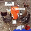 Курица кормушка Hen Home Gardengrough Farm Farm Farm Form Feeder 3 и отверстия для дождевой кормушки для фермерской птицы курятник