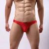 Sous-vêtements gai en Nylon pour hommes, String et String G en dentelle douce transparente, Jockstrap, pochette érotique, culotte Sissy