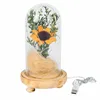 Fleurs décoratives bouquet de tournesol séchées dans un dôme en verre avec base paysage lumière chaude lampe de nuit de chevet pour la saint-valentin