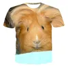 Herr t-shirts 2023 sommar- och kvinnors modetryck t-shirt 3d söt hamster avslappnad kortärmad topp