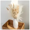 Andere evenementenfeestjes Natural Real Drooged Flower Reed Pampas Bouquet Home Wedding Decoratie Celebrity POGRY SCHOOTEN Props 230425