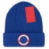 Дизайнерская вязаная шляпа Ins популярный Bonnet Canada Winter Beanie Personaly Classic Letter Gose Print Beanies Высококачественное N6PF#