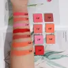 Blush Pink Blush Powder Palette Prodotti personalizzati Trucco opaco Impermeabile Vegan Blush Articoli all'ingrosso per la rivendita in massa 5 pezzi 231124