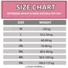 Moldeadores de mujer Flarixa Tallas grandes Mujer Cintura alta Cuatro filas Control de abdomen Bragas Entrenador de cintura Body Shaper Tummy Slimming Faja posparto 230425