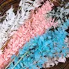 装飾的な花40/80g保存された天然パンダ竹の花屋DIYリアル永遠のドライフラワープラントの葉ホームオフィスウェディングパーティーの装飾