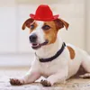 Abbigliamento per cani Cappello per animali domestici Costume per cuccioli Abito in denim Copricapo Tessuto non tessuto Forniture per cani