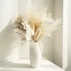 Andere evenementenfeestjes Natural Real Drooged Flower Reed Pampas Bouquet Home Wedding Decoratie Celebrity POGRY SCHOOTEN Props 230425