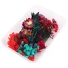 Flores decorativas 1 Pacote de flores secas secas para resina jóias pressionadas Fazendo acessórios de moldura PO DIY artesanal