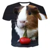 メンズTシャツ夏と女性用カジュアルTシャツ3Dプリンティングかわいい小さな動物ハムスターファッションショートスリーブオールマッチトップXXS-6XL