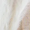 Decorative Flowers White Pampas Grass Faux Pompas Tall Big Artificial Fluffy Plants For Floor Decoration-6 Pcs