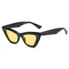 선글라스 긴 키퍼 섹시한 삼각형 고양이 눈 대형 타원 안경 여성을위한 태양 여성 음영 패션 UV400