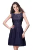 Chiffon Lilac Korte Homecoming -jurken goedkope Backless Lace Appliqued Tail Party Jurk Mini Prom avondjurk CPS164