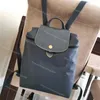 Vendite Borsa a mano di alta qualità Portafoglio all'ingrosso Moda pieghevole Zaino francese Nylon Donna 70 ° anniversario Ricamo Borse per cavalli Designer