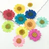 Decorative Flowers 12Pcs Epoxy Resin Natural Flower DIY Pressed Dried Nail Craft Phone Decoration
