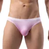 Slip taille basse Ultra-fin pour hommes, Mini culotte une pièce, Lingerie confortable surélevée, vêtements de personnalité exotique