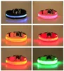 Collier de chien en nylon LED sécurité nocturne lumière LED clignotant lueur dans le noir petit chien animal de compagnie clignotant collier de sécurité pour chien laisses SXL DB6149741