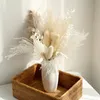 Andere evenementenfeestjes Natural Real Drooged Flower Reed Pampas Bouquet Home Wedding Decoratie Celebrity POGRY SCHOOTEN Props 230425