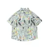 Camisas casuais masculinas Havaí impresso camisa estilo japonês retro solto estilo hong kong praia férias floral manga curta moda