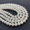 Andere graad AAA High Quality Pearl Beads 100% Natural Freshwater Pearl White Round 10mm Bead Sieraden maken DIY ketting oorbel kralen 230425