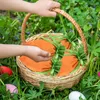 Geschenkverpackung 3 Stück Karotte Ostern Taschen Süßigkeiten Plätzchen Snack Schmuck Verpackung Stoffbeutel mit Kordelzug Kinder Verpackung Dekoration