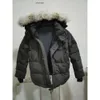 Toptan Top Marka Big Wolf Fur Erkekler Down Parka Kış Ceketi Arktik Donanma Siyah Yeşil Kırmızı Açık Hoodies Doudoune Mantau Palto