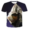 Herr t-shirts 2023 sommar- och kvinnors modetryck t-shirt 3d söt hamster avslappnad kortärmad topp