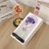 Christmas Decorative Flowers Gold foil rose flower acrylic cover led lamp simulation color 24K Valentine039s Day gift decoratio8106851