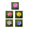 Kwiaty dekoracyjne 5 szt. Lily podkładki maluch zbiórki piankowe czarownice hazel zewnętrzne zabawy