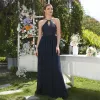 Designer Long Maxi Prom Dress Sleeveless Halter Neckline Chiffon Skirt With Lace Bodice Illusion V-Back Formal Evening Party Gowns Bridesmaid Dresses Cps1069