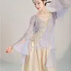 Scene Wear Chinese Classical Dance Practice Costume Women's Gace Dress V-Neck Blouse Style Folkprestanda