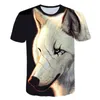 Heren t shirts hoogwaardige jeugdcartoon print t-shirt luxe mode trendy merk kitten patroon 3D printen dames rond nek kort