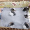 Blankets Born Soft Warm Wool Swaddling Blanket Bedding Swaddles Wrap Baby Birth Gift With 15cm Triple Color Real Fur Pom