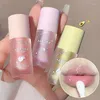 Lip Gloss Transparante kristalhoningolie Lustige hydraterende anti-drogende pluimvlieger voedende reparatie make-up cosmetica