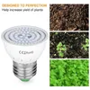 Luzes de cultivo LED Copo de luz para plantas E27 E14 Preenchimento interno 220V Hidropônico Lâmpada de espectro completo Lâmpada de crescimento roxa