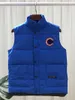 Gilet da uomo in piumino d'oca canadese Designer Gilet da uomo Gilet invernale Coppia unisex Scaldacorpo Giacca da donna senza maniche Outdoor Caldo Spessa Outwea Mosq