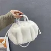 Bolsos de noche Bolso de mano plisado de color sólido Moda de alta calidad Bolso de diseñador de mujer de felpa suave Bolsos de hombro de viaje Bolsos de axila de calabaza 231124