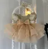 Flicka klänningar champagne tyll flickor barn kläder barn 12 m 24m födelsedag prinsessa bröllop prom dans dräkt 1-14 år vestidos