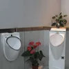 toilet wall mounted, floor standing, men's urinal, household ceramic, adult urinal